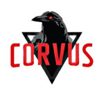 Corvus